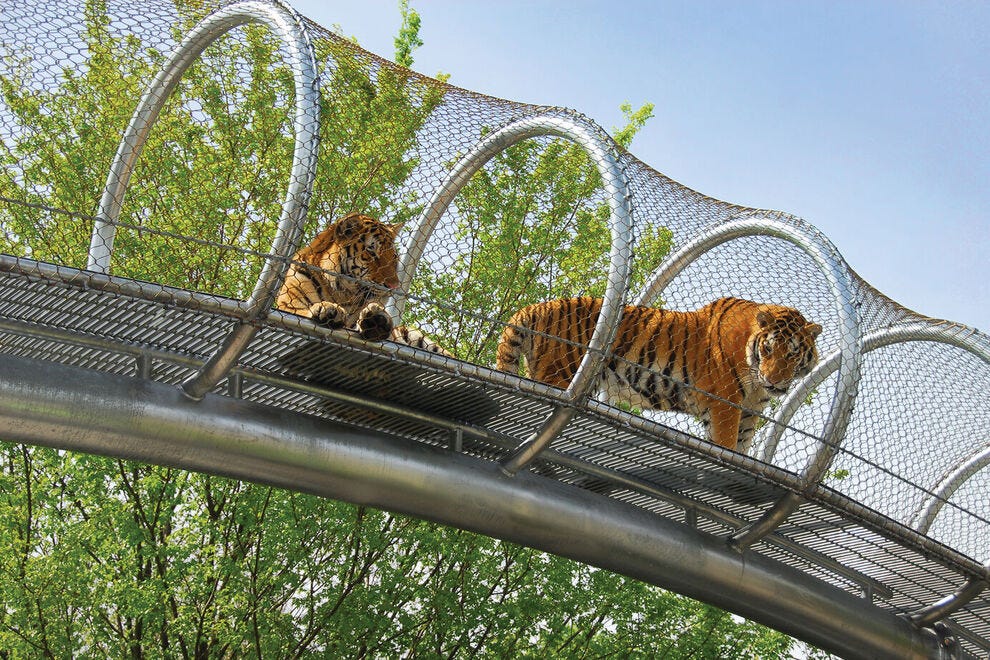 Philadelphia Zoo