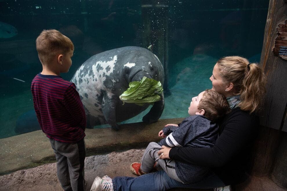 Columbus Zoo and Aquarium