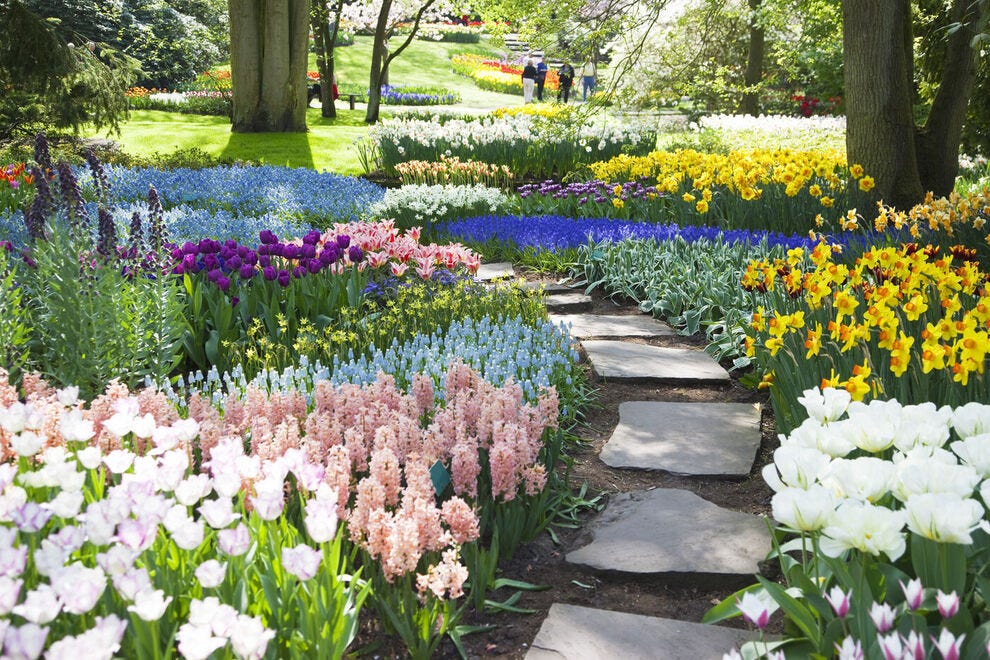 Garden in full bloom