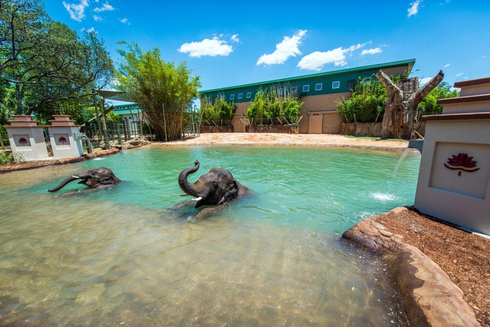 Houston Zoo