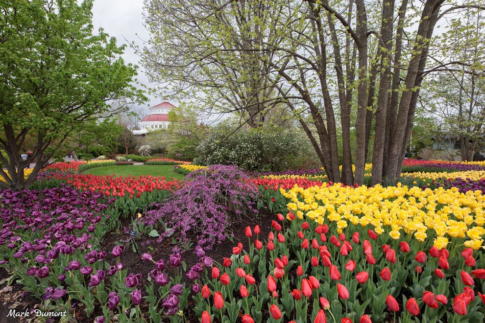 Cincinnati Zoo &amp; Botanical Garden