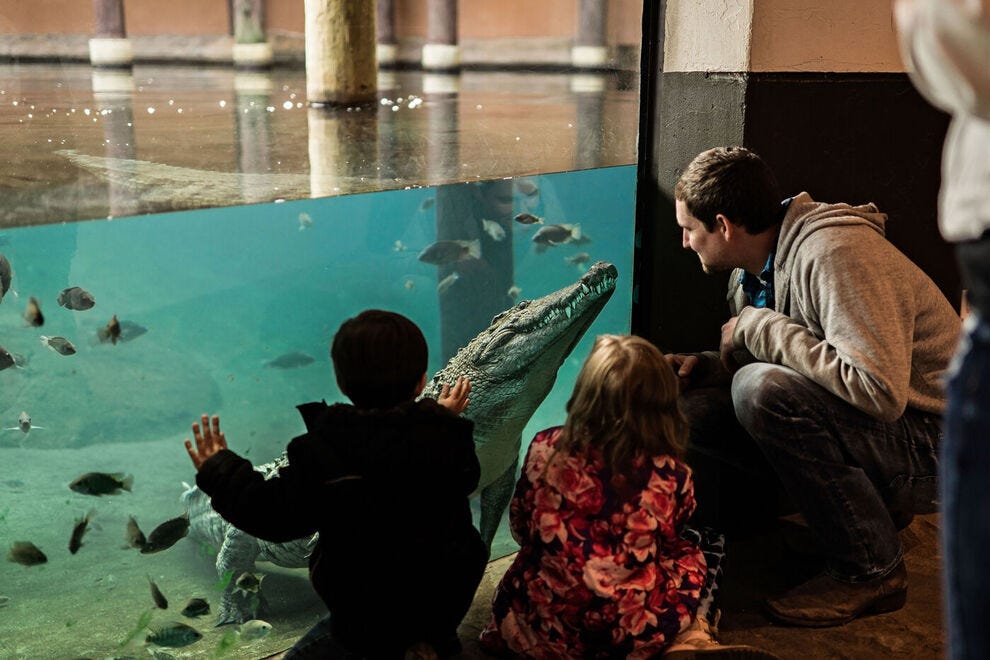 Memphis Zoo