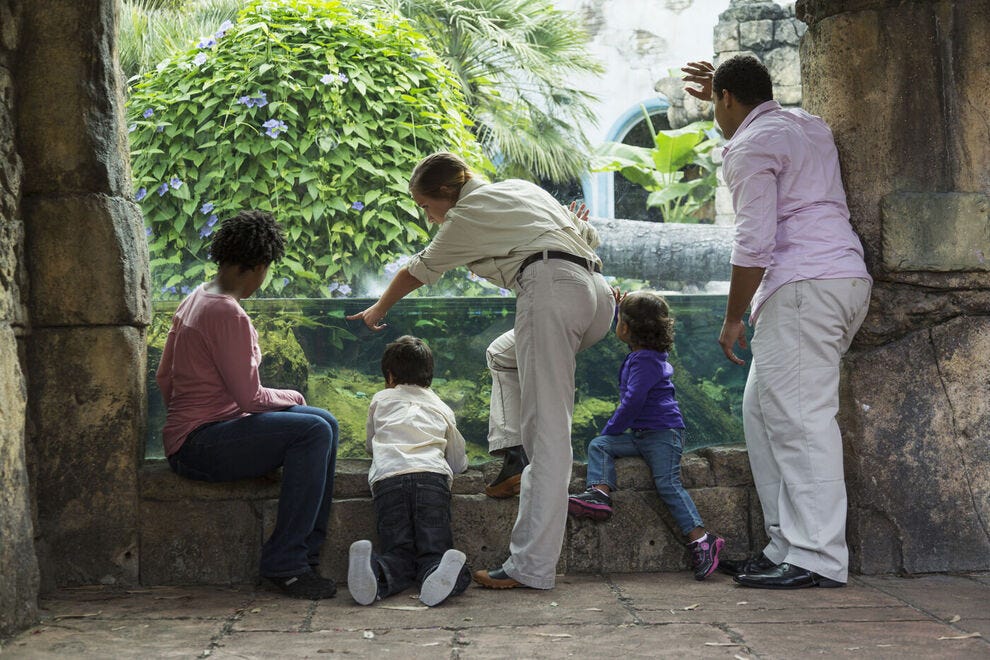 Family at a zoo