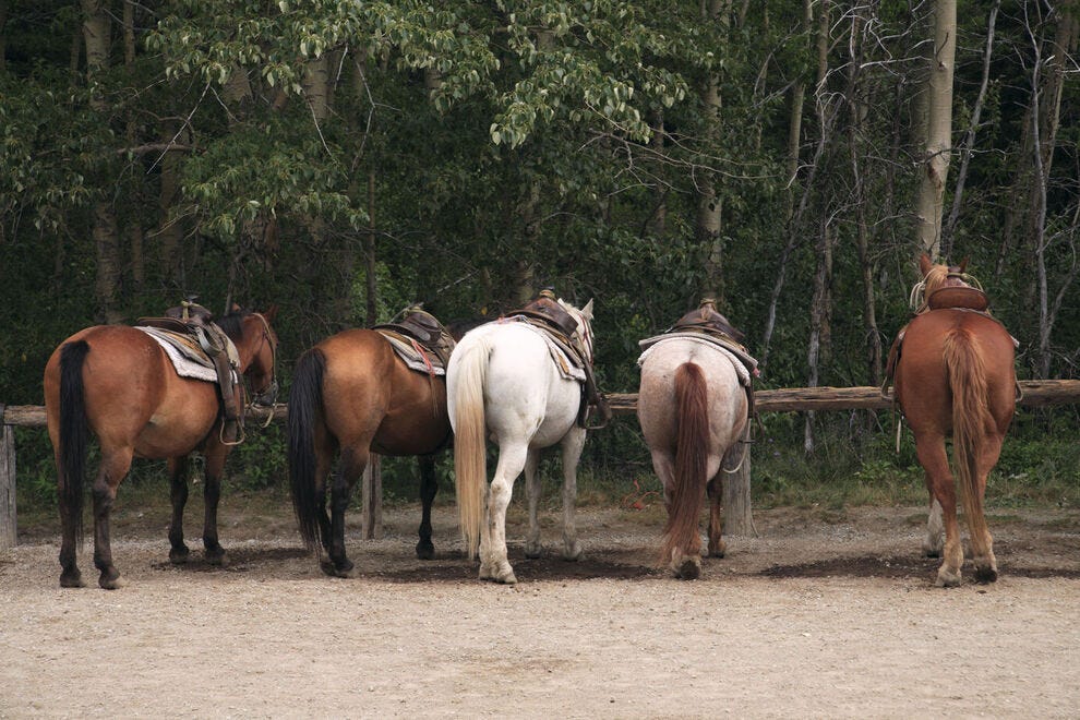 Rocking Horse Ranch