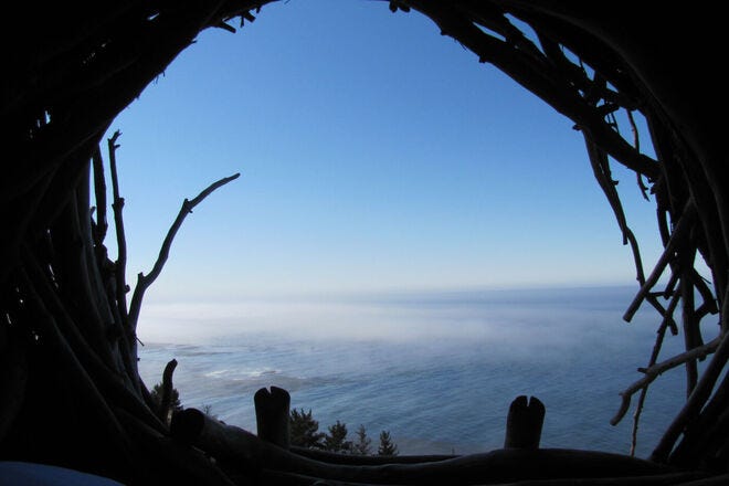 A clifftop view from one of the human nests at Treebones Resort