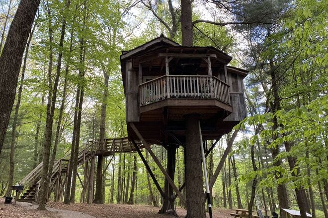 Serene treehouses at The Mohicans Resort are surrounded by trees