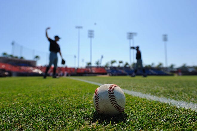 Which minor league baseball mascot has what it takes to be the best?