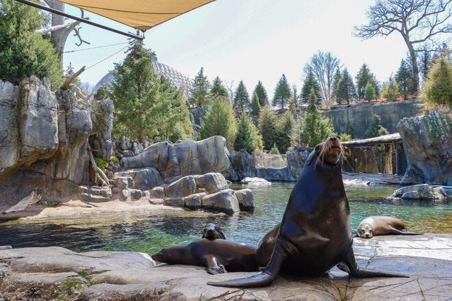 Omaha's Henry Doorly Zoo and Aquarium wins Best Zoo for second consecutive year