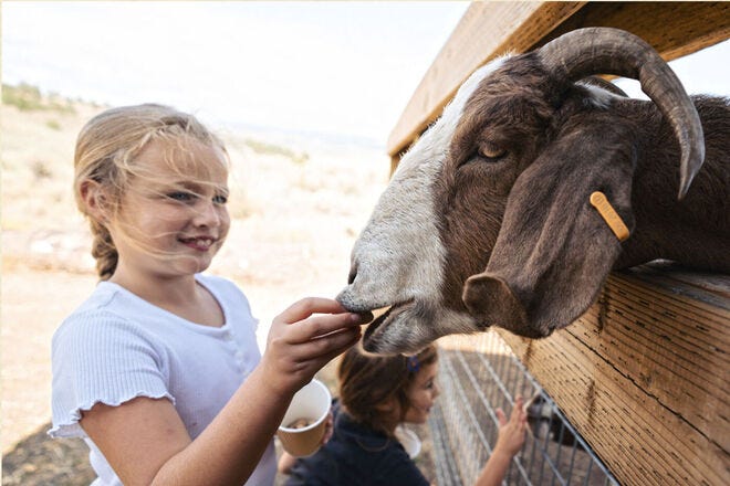 From goat herding to golfing, enjoy all the recreation at this Oregon working ranch and farm stay