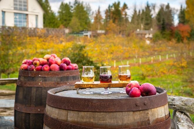 Sample fresh ciders at Sea Cider Farm and Ciderhouse