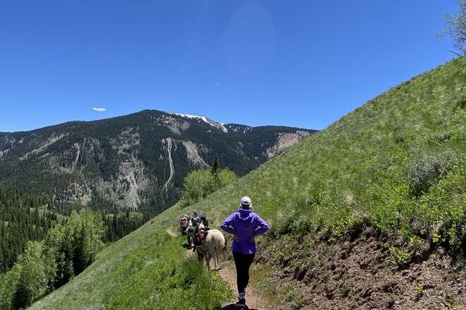 Hiking with llamas to lunch in Vail, Colorado