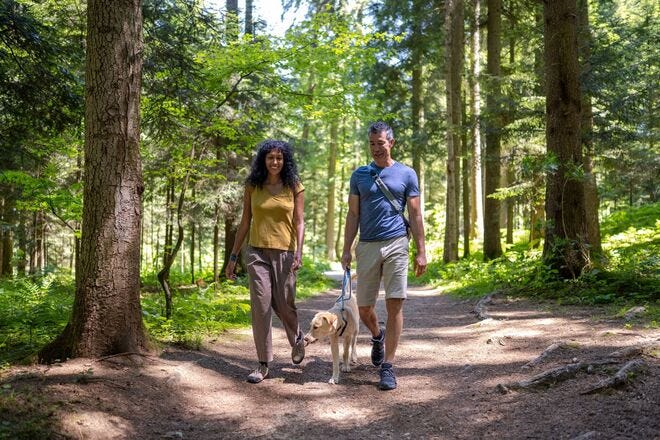 Which hiking trail would you most like to explore?