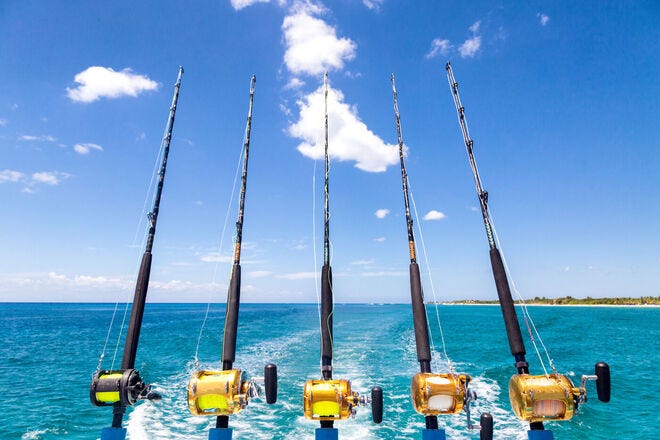 Reel in a big catch on these fishing charters