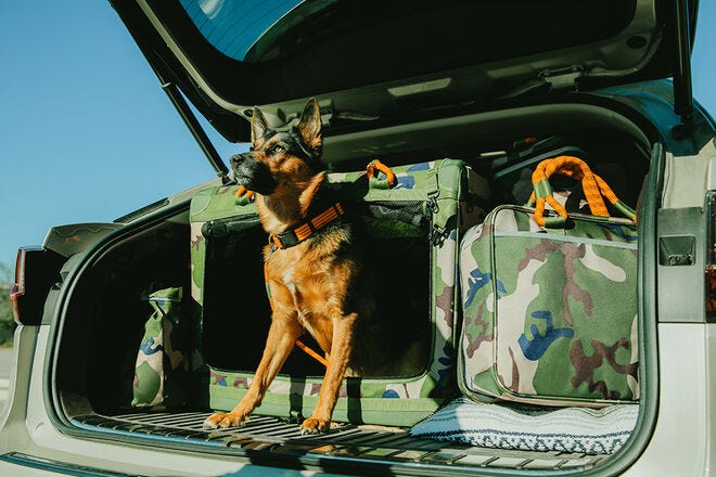 Roverlund's Away-We-Go large pet crate keeps your pets safe for travel