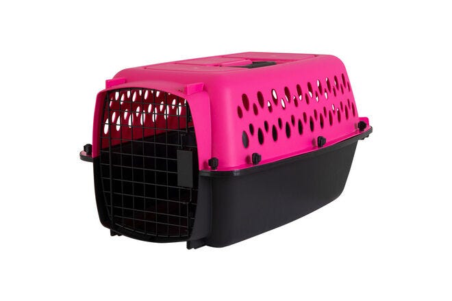 Petmate's Aspen Fashion Pet Porter Dog Kennel Hard-Sided Breeze is a classic for a reason