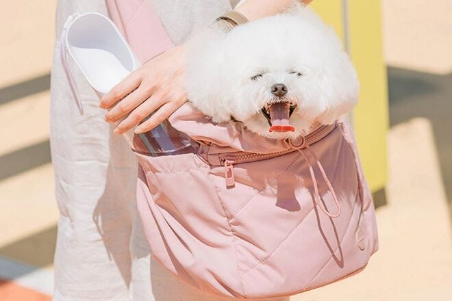 Pups & Bubs Cloud Crossbody pet carrier is totes cute