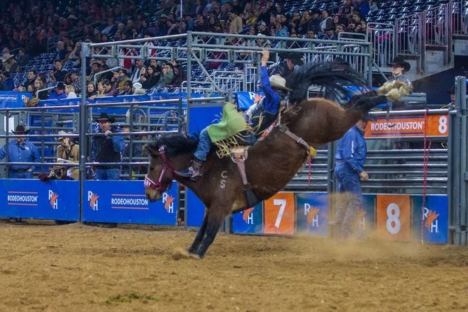 Enjoy a series of competitions at Houston Livestock Show and Rodeo
