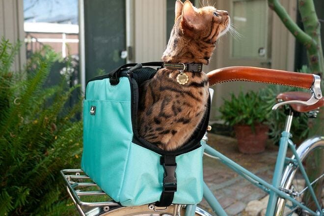 Sleepypod Atom is the cat's meow among pet carriers for cats