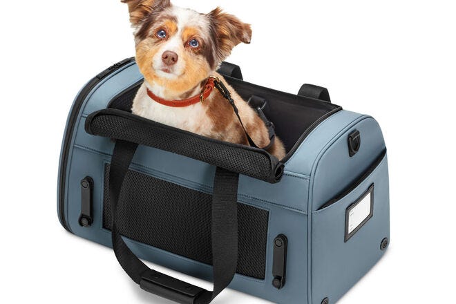 Away Pet Carrier makes travel a breeze for your furry friends