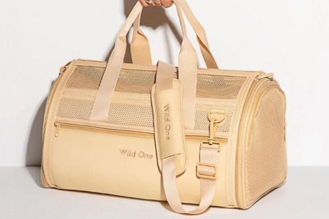 Wild One Pet Carrier is airline-approved and comfortable for small dogs