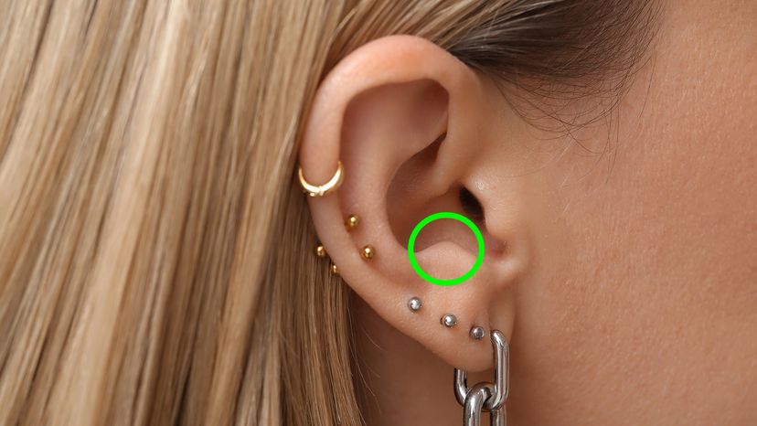 Woman with multiple ear piercings