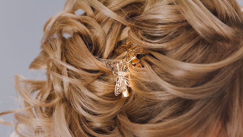 Butterfly clips